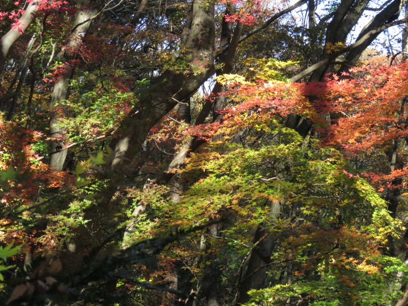 奥久慈・男体山